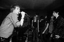 golden-shyver-052