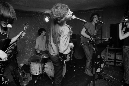 golden-shyver-058