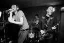 golden-shyver-095