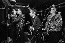 playboys-norv-111