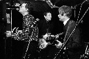 playboys-norv-112
