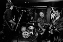 pupils-ant-needl-102310-038