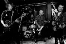 pupils-ant-needl-102310-039