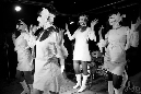 pupils-ant-needl-102310-112